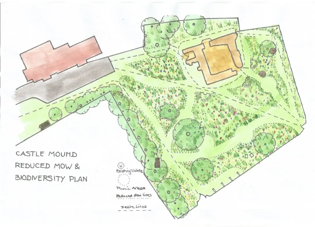 Hand-drawn plan headed “Castle Mound reduced mow and biodiversity plan”, with trees, paths and areas of longer grass coloured green.