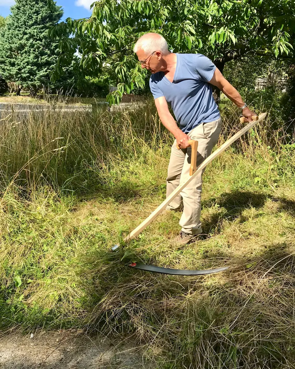 Edward Gildea, in a blue T-shirt, cutting long meadow grass with a scythe under a tree.