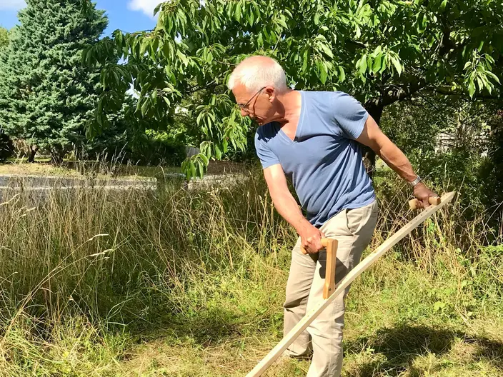 Edward Gildea, in a blue T-shirt, cutting long meadow grass with a scythe under a tree.